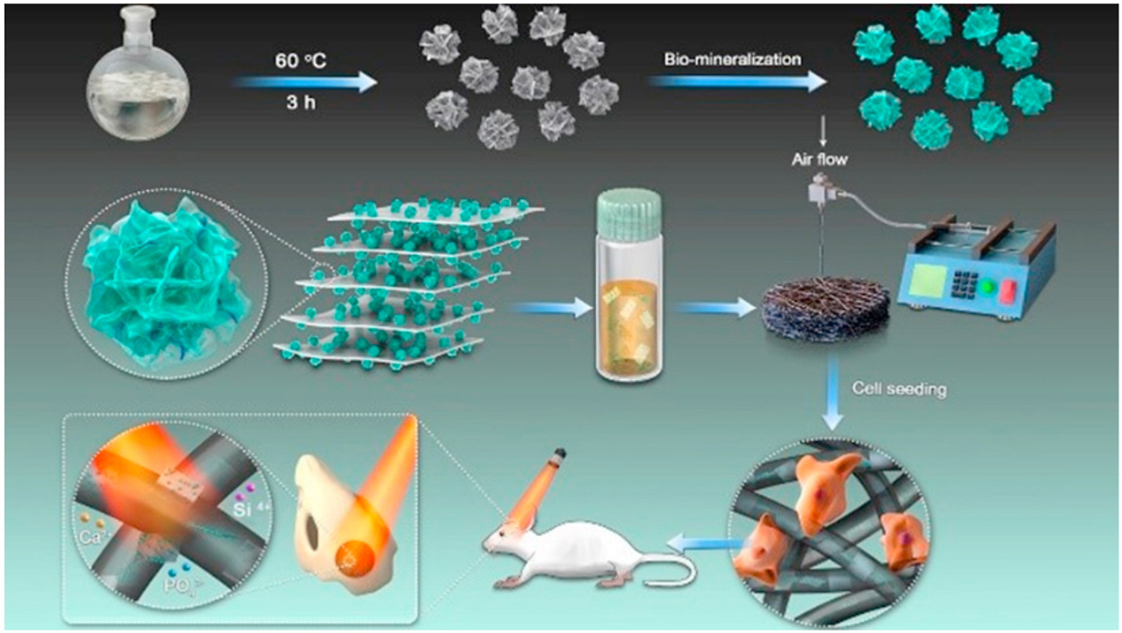 Ca2+-supplying black phosphorus-based scaffolds fabricated with microfluidic technology for osteogenesis