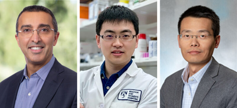 Omid C. Farokhzad, MD, MBA; Wei Tao, PhD; Jinjun Shi, PhD